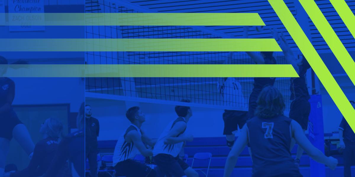 Volleyball Home Page