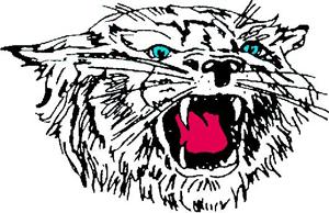 Wildcats