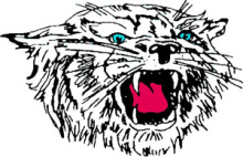 Wildcats
