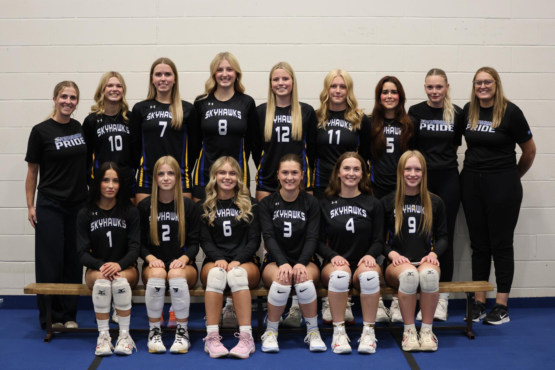 St. Albert Catholic High Team History: The SACHS Sr. Girls Volleyball team had a strong & exciting season! They opened the year with an impressive start, finishing 5th at the Tri-Volley Tournament and winning gold at the Lacombe Tournament. The team delivered a standout performance in the playoffs losing a tough five set semi-final. We are looking forward to represent our school at 4A Volleyball Provincials.