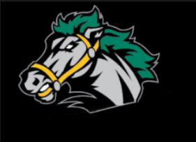 Head of a grey and black horse with green mane and gold headstall