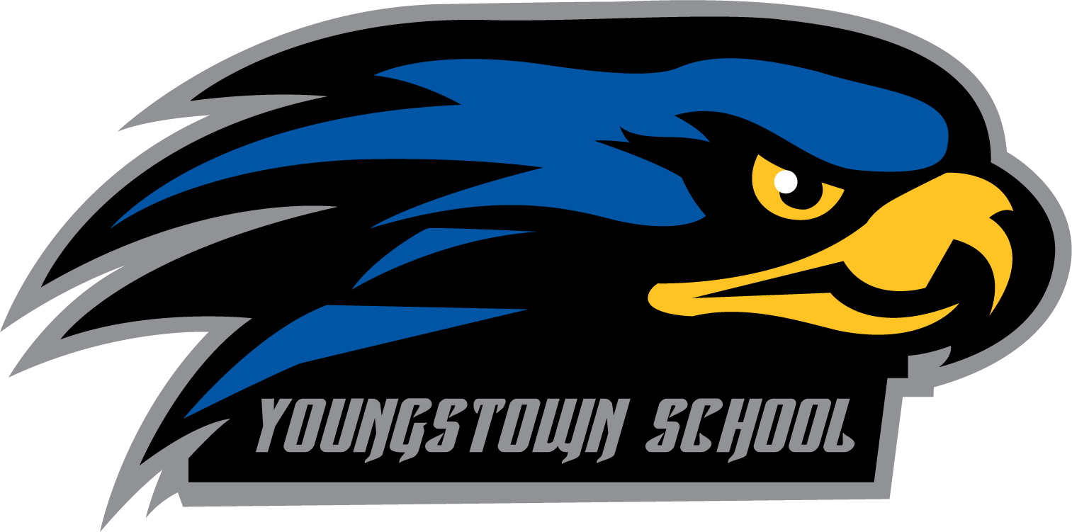 A logo of a blue and black falcon head with the heading "Youngstown School" underneath.
